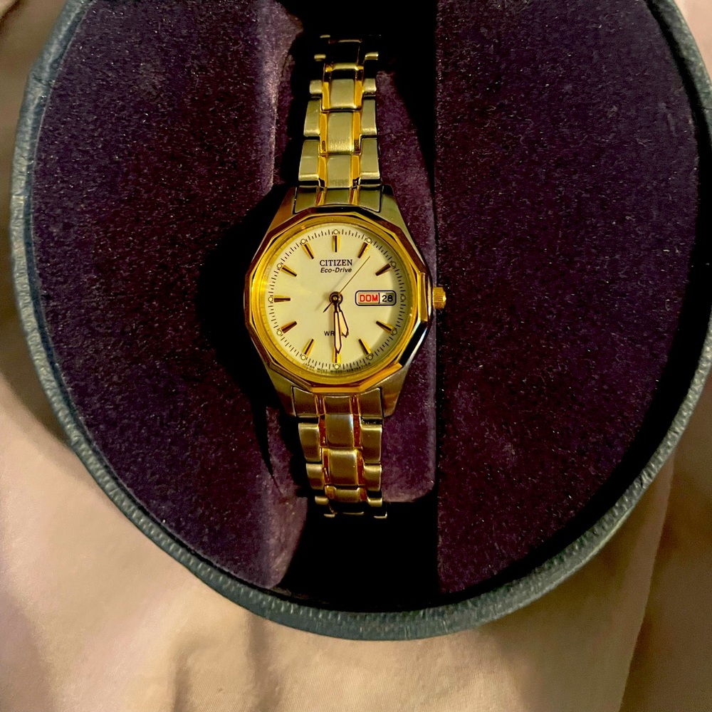 Citizen’s Eco Watch, never worn